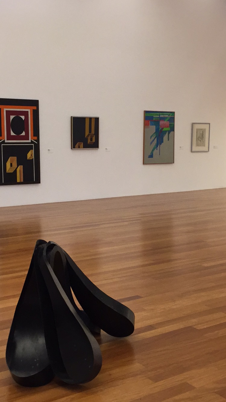 Museo de Arte Contemporáneo – Casa das Mudas — foto 14