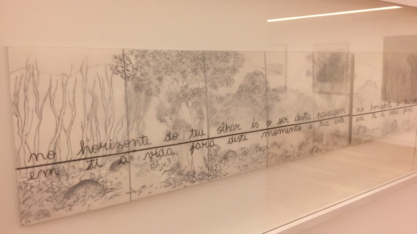 Museo de Arte Contemporáneo – Casa das Mudas — foto 6