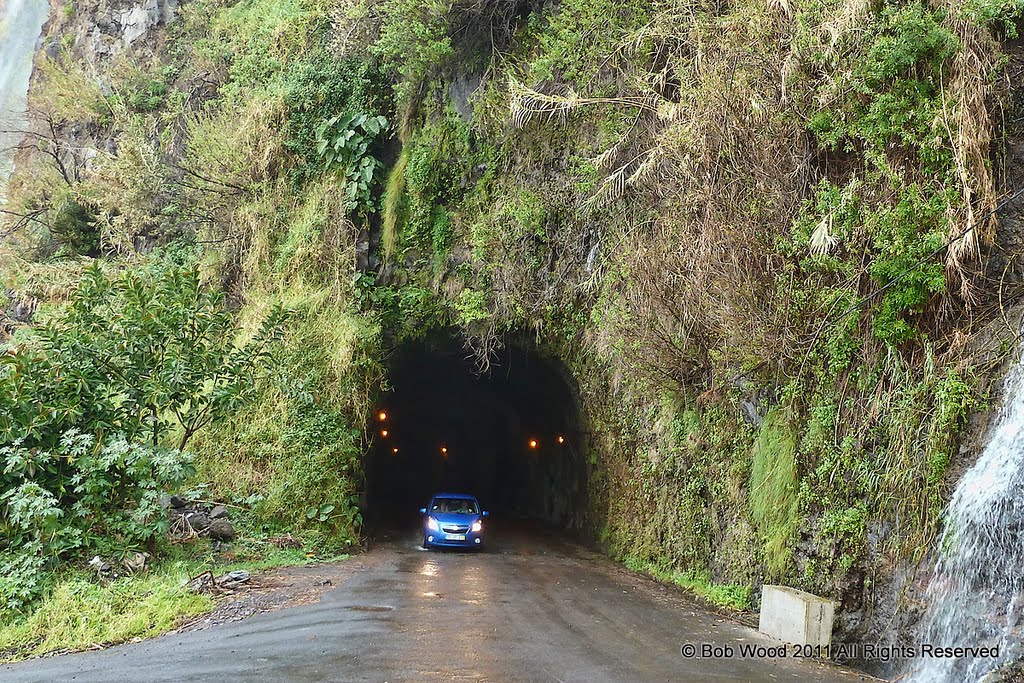 Modern highway tunnel entrance on Madeira Island