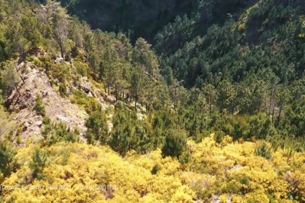 Eira do Serrado: the Balcony over the Nun's Valley