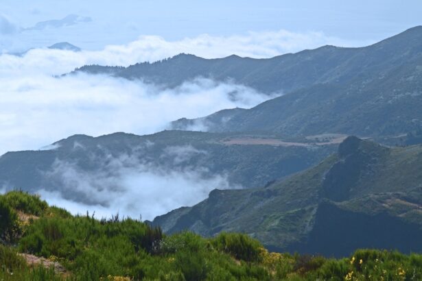 Guia da Ilha da Madeira