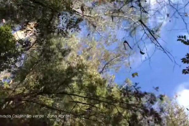 Levada do Caldeirão Verde (PR9): la ruta de la cascada del Caldero Verde
