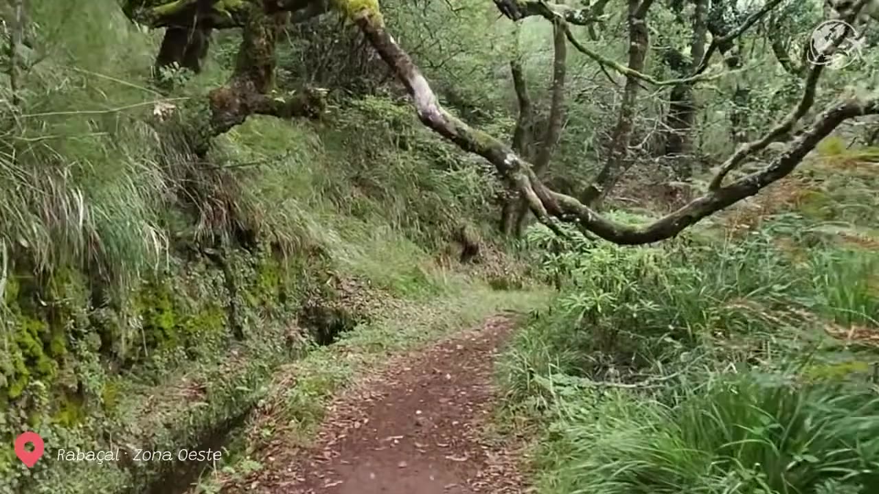 Rabaçal, 25 Fontes and Risco Waterfall (PR6): The Classic Double Levada Walk